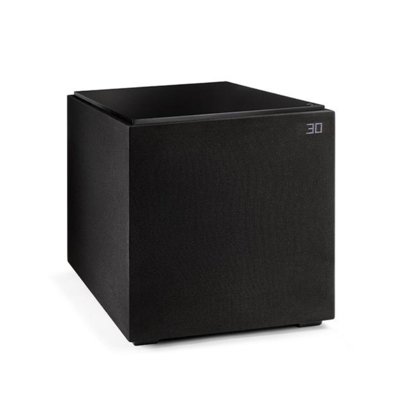 Definitive Technology DN12 Subwoofer
